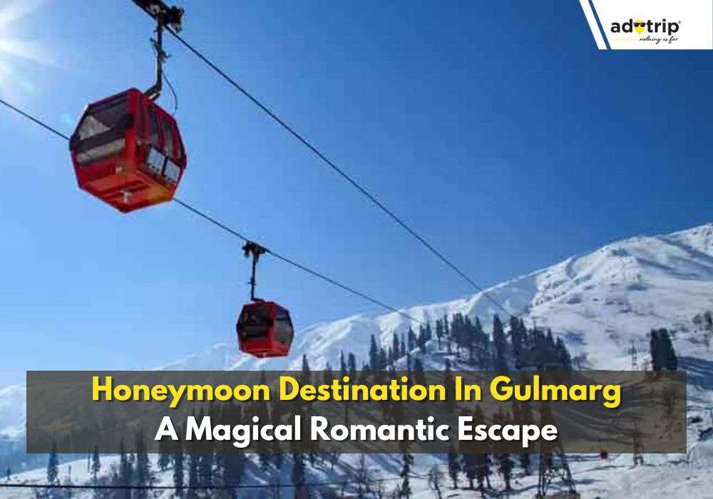 Honeymoon In Gulmarg